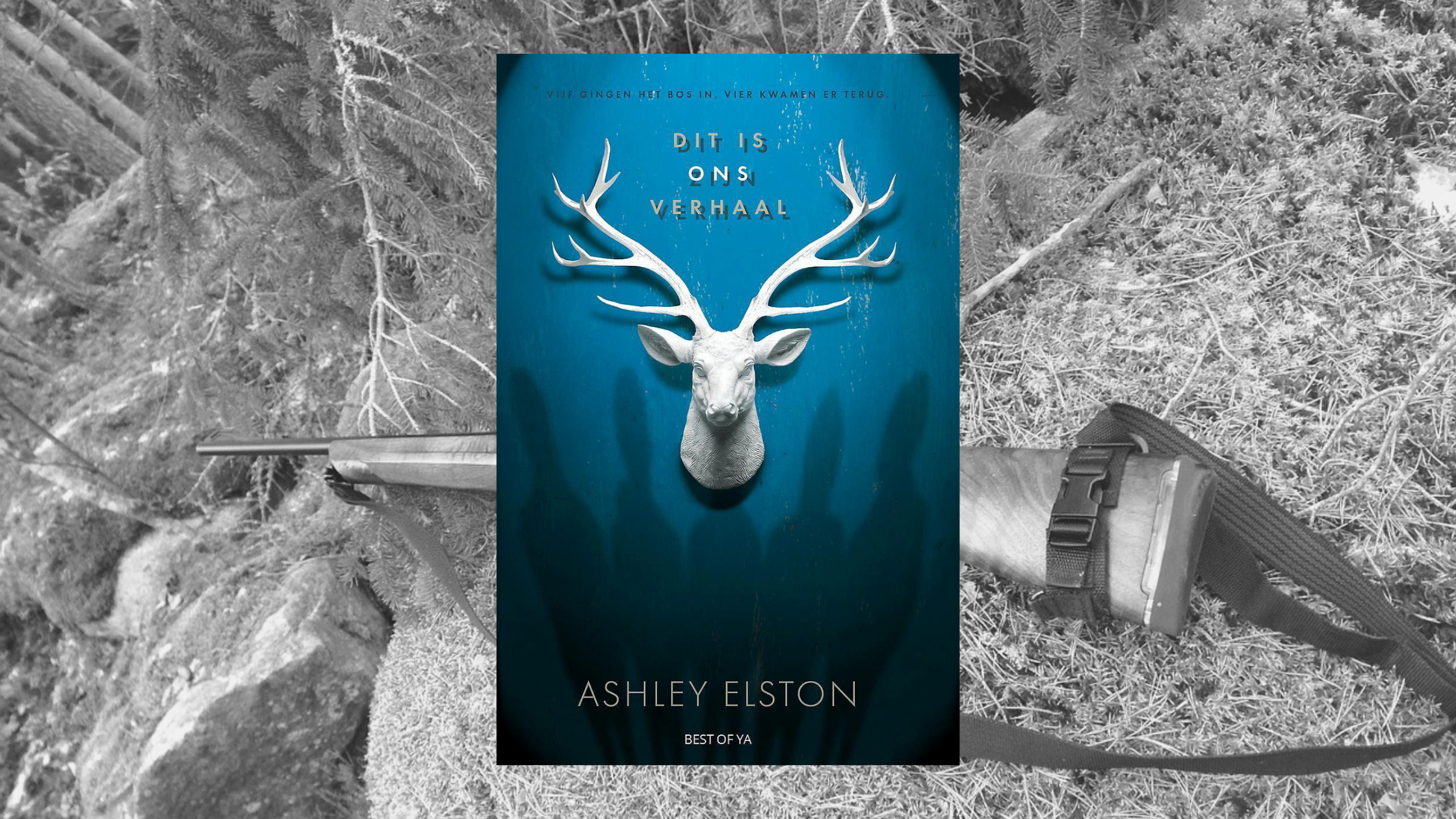 Dit is ons verhaal – Ashley Elston