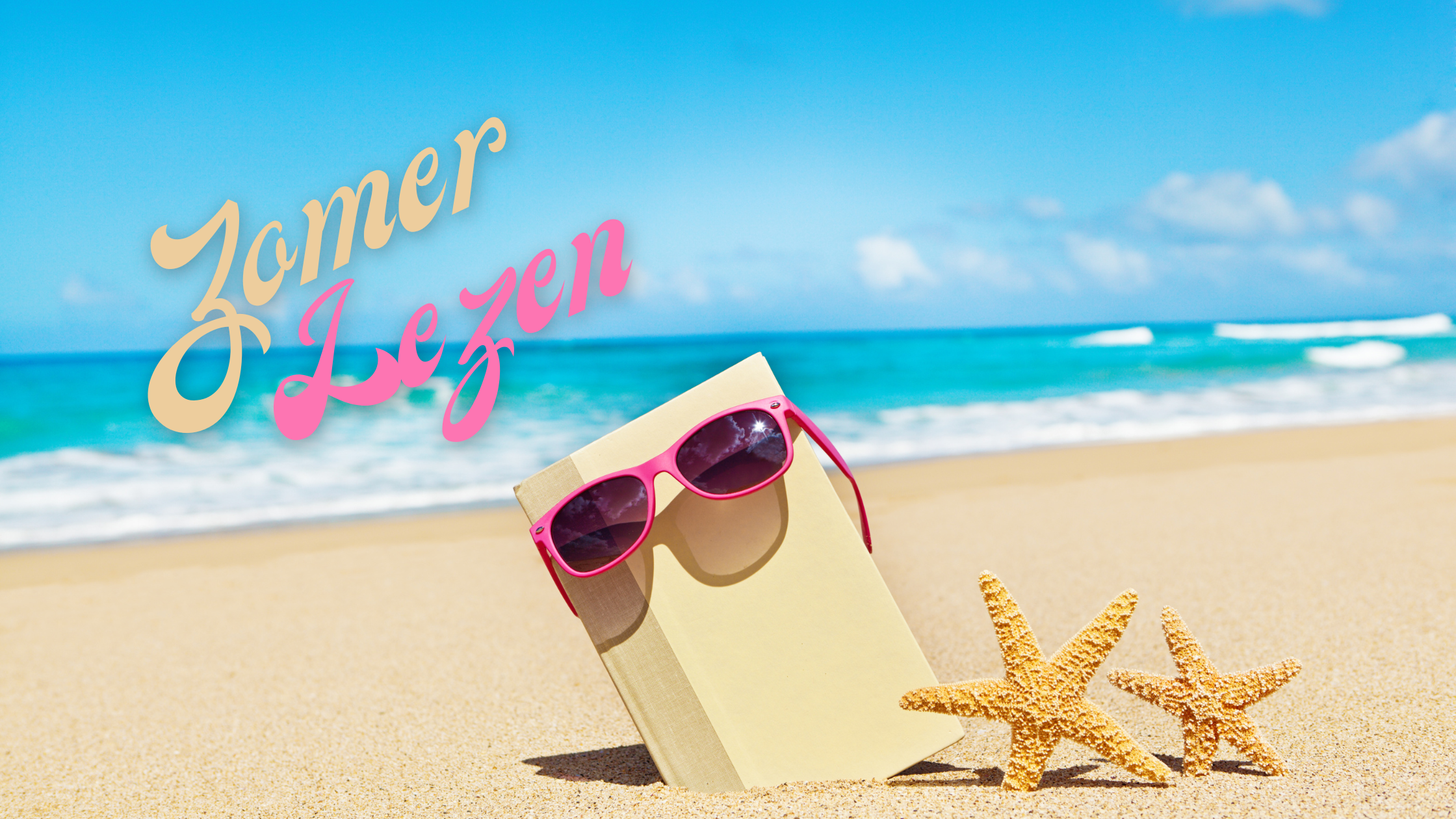 Zomerlezen: back to school/work