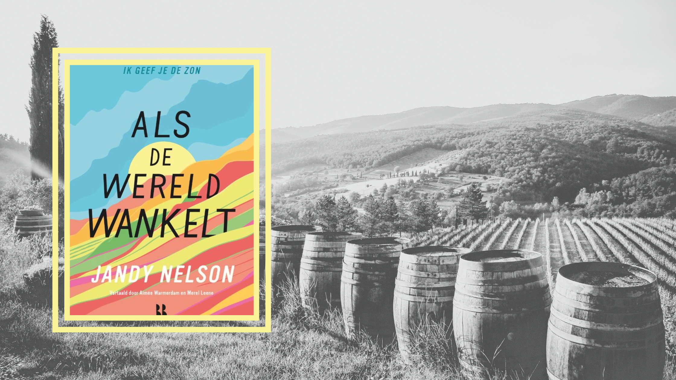 Als de wereld wankelt – Jandy Nelson