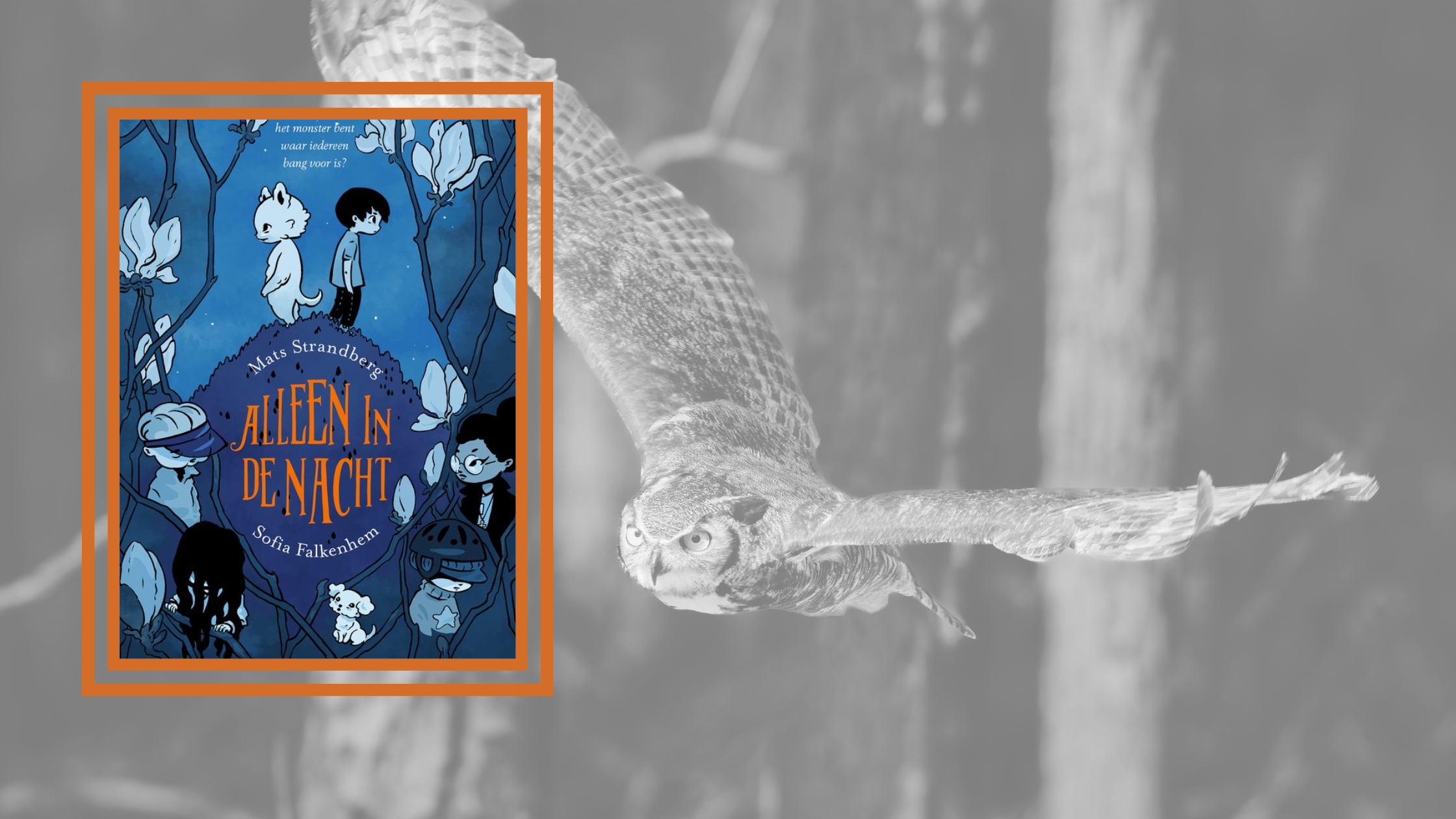 Alleen in de nacht – Mats Strandberg