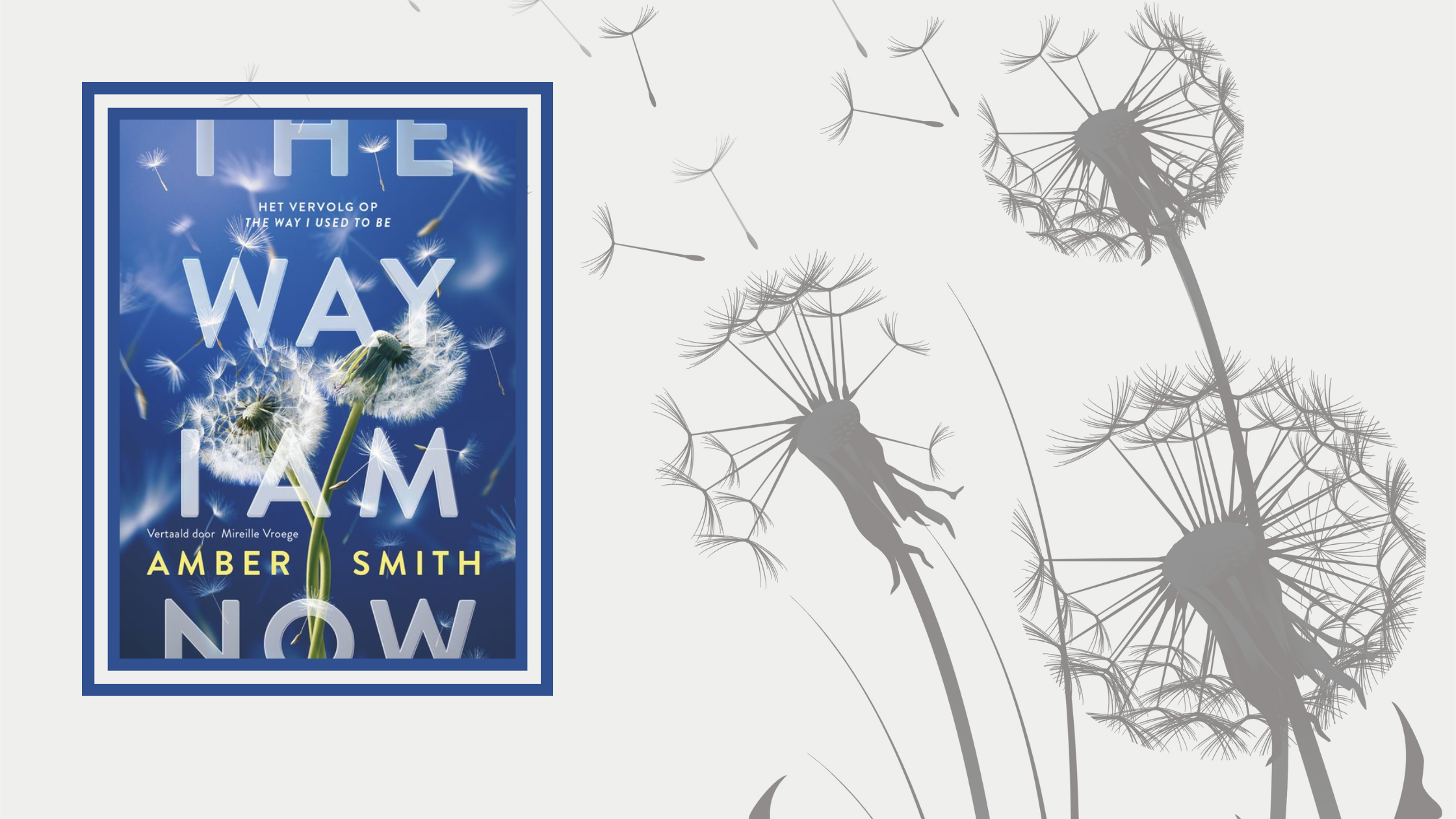 The way I am now – Amber Smith