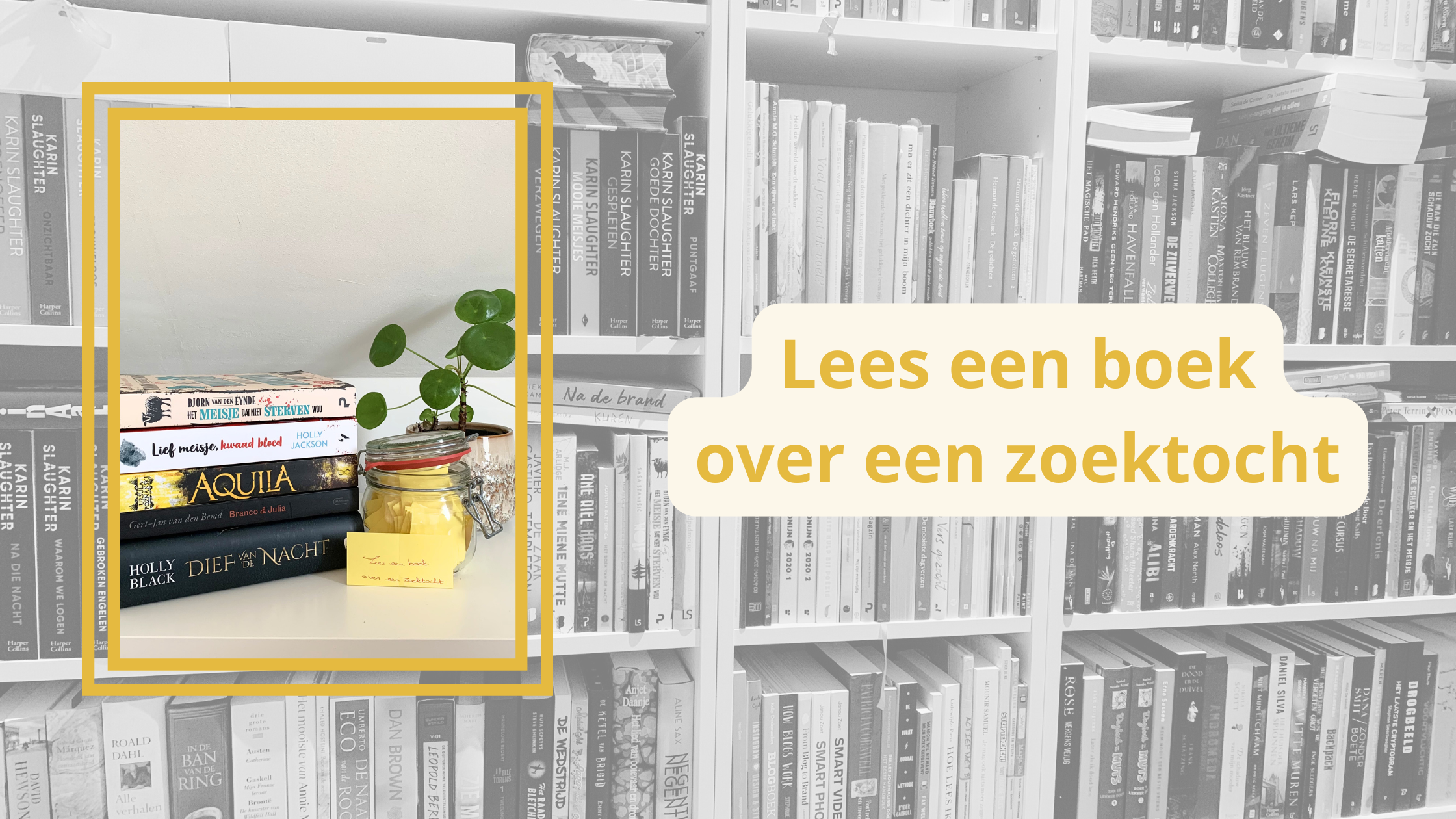 Lees een boek over een zoektocht