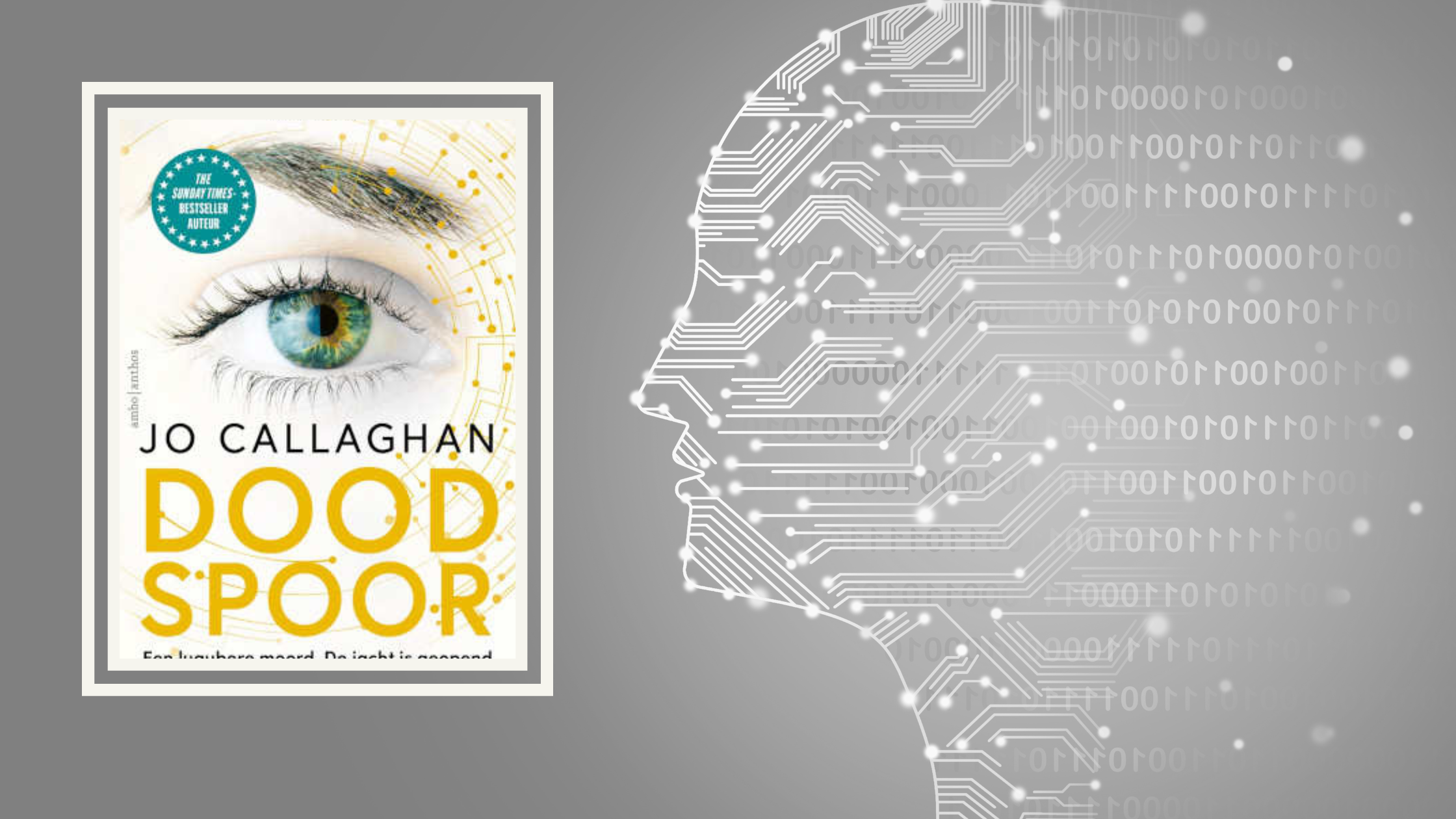 Dood spoor – Jo Callaghan